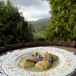 Chiusulelle Bed & Breakfast Ogliastro Cilento