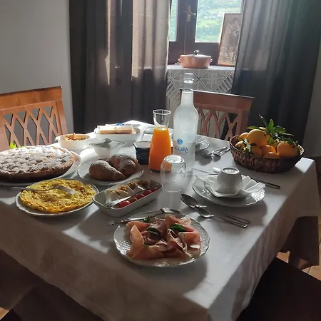 Chiusulelle Bed & Breakfast Ogliastro Cilento