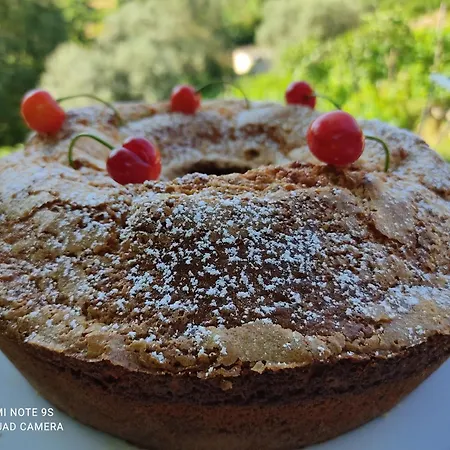 Chiusulelle Bed & Breakfast