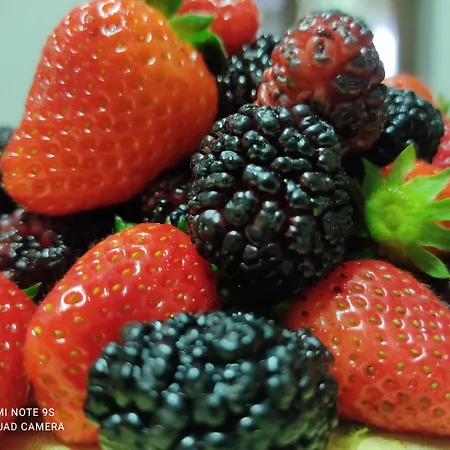 Chiusulelle 3* Ogliastro Cilento