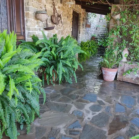 Chiusulelle 3* Ogliastro Cilento